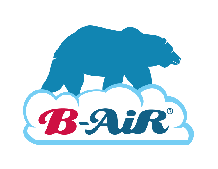 Logo bair3